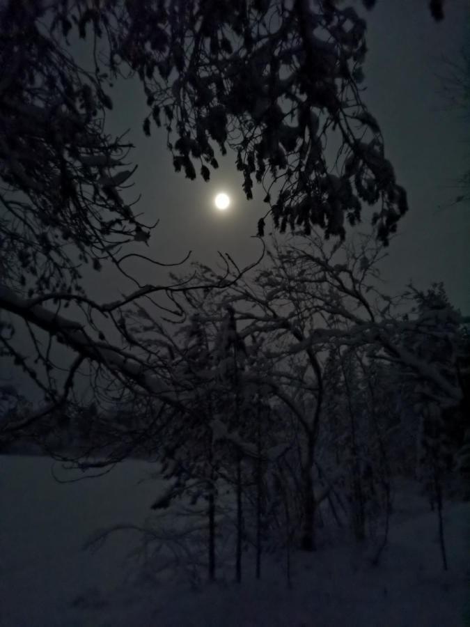 Revontulen Tupa Villa Kaamanen Екстериор снимка